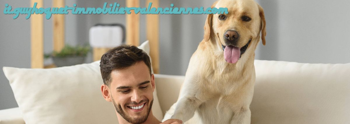it.guyhoquet-immobilier-valenciennes.com